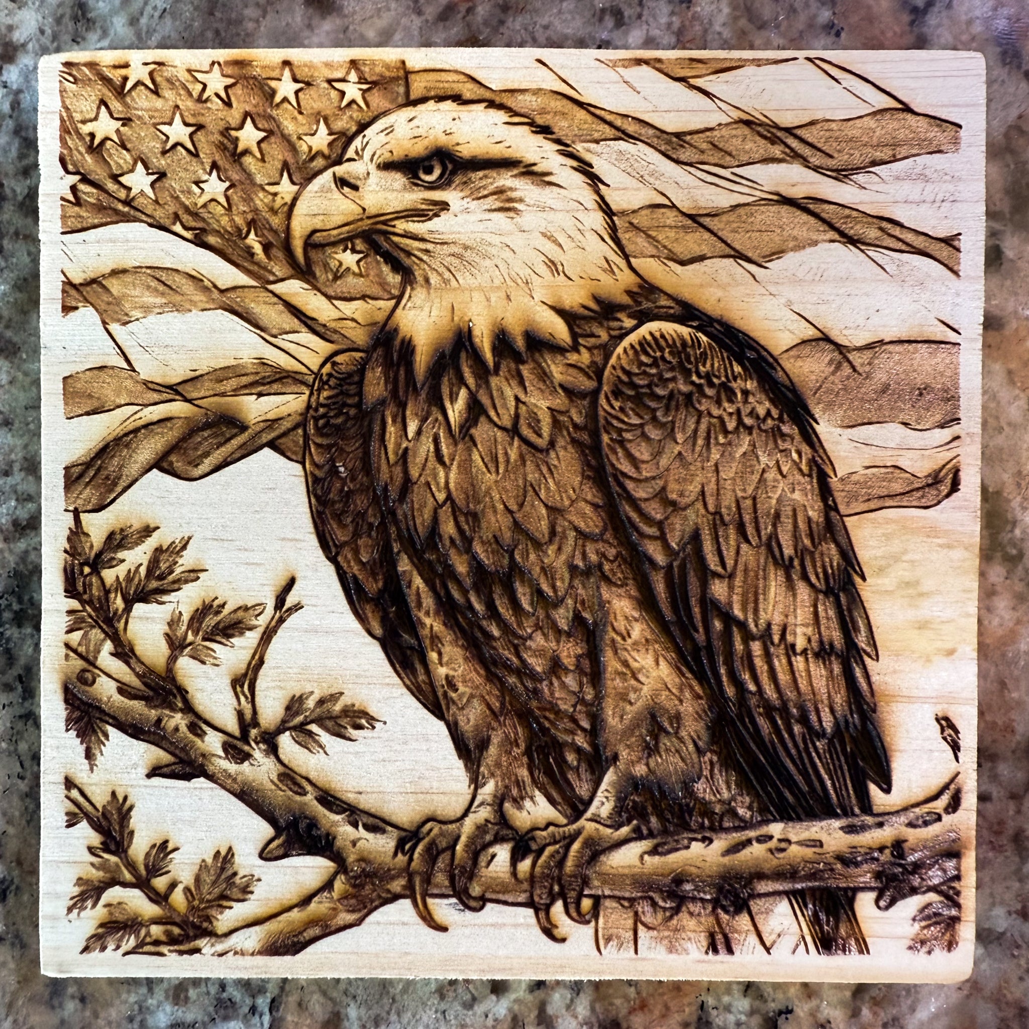 Bald Eagle Coaster